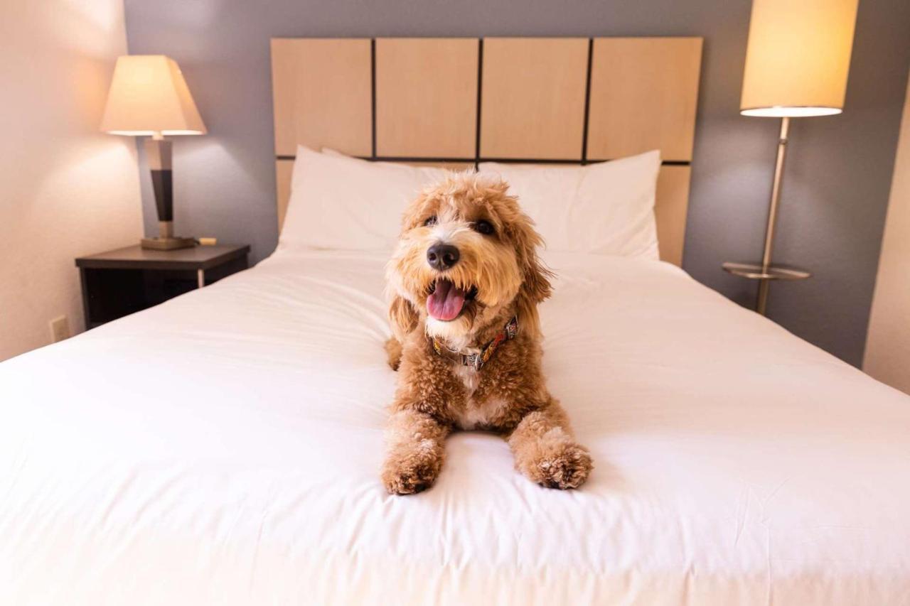 Sonesta Simply Suites Oklahoma City Airport Luaran gambar